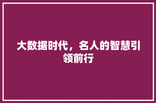 大数据时代，名人的智慧引领前行  第1张