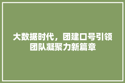 大数据时代，团建口号引领团队凝聚力新篇章