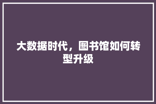 大数据时代，图书馆如何转型升级