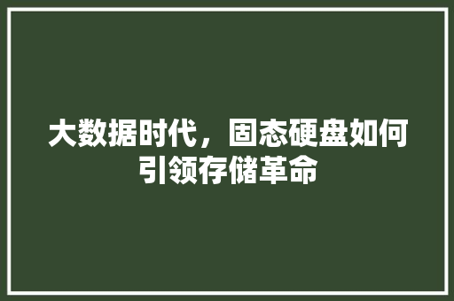 大数据时代，固态硬盘如何引领存储革命