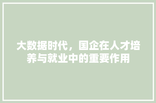 大数据时代，国企在人才培养与就业中的重要作用