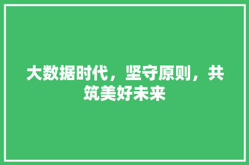 大数据时代，坚守原则，共筑美好未来