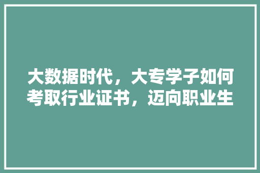 大数据时代，大专学子如何考取行业证书，迈向职业生涯新篇章