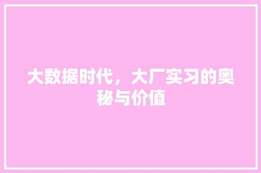 大数据时代，大厂实习的奥秘与价值