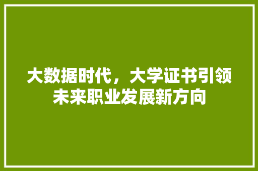 大数据时代，大学证书引领未来职业发展新方向