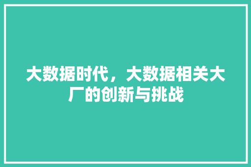 大数据时代，大数据相关大厂的创新与挑战