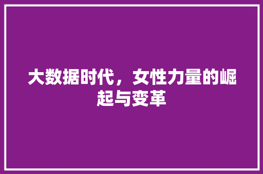 大数据时代，女性力量的崛起与变革