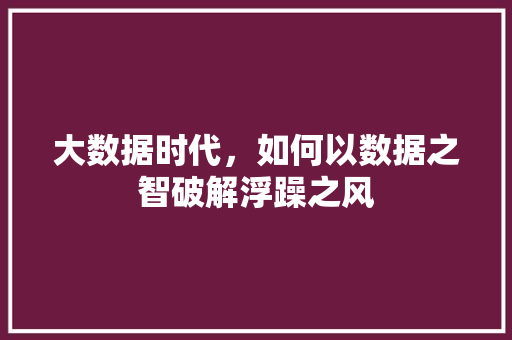 大数据时代，如何以数据之智破解浮躁之风  第1张