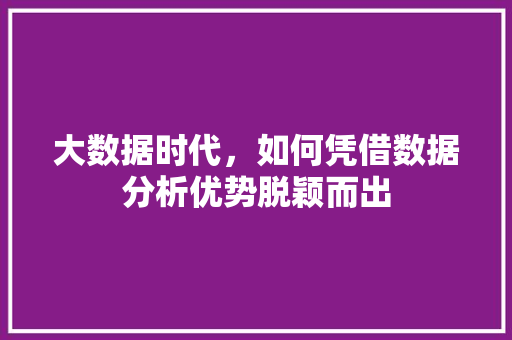 大数据时代，如何凭借数据分析优势脱颖而出  第1张