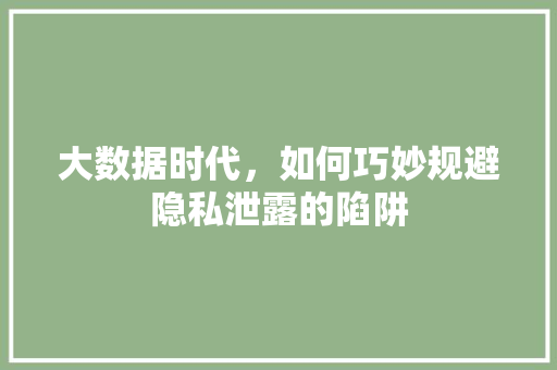 大数据时代，如何巧妙规避隐私泄露的陷阱  第1张