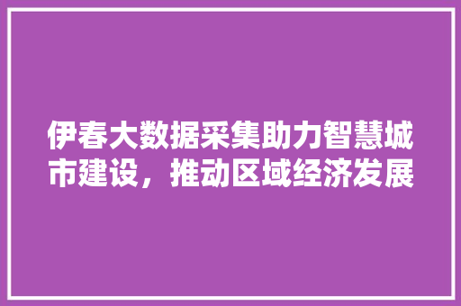伊春大数据采集助力智慧城市建设，推动区域经济发展