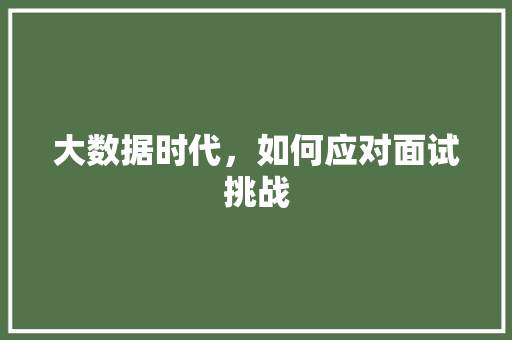 大数据时代，如何应对面试挑战  第1张