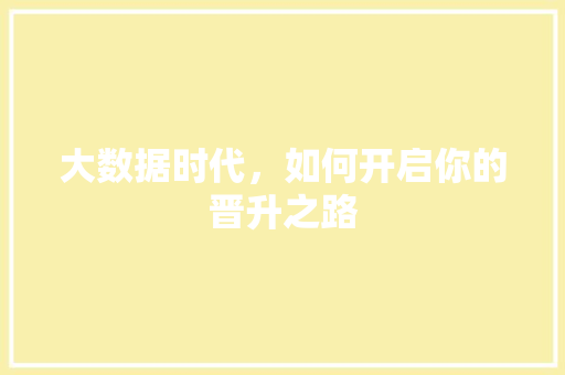 大数据时代，如何开启你的晋升之路