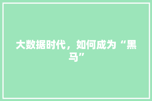 大数据时代，如何成为“黑马”  第1张