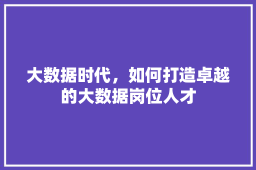 大数据时代，如何打造卓越的大数据岗位人才  第1张
