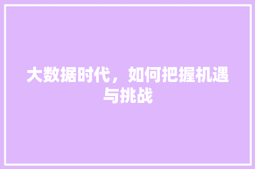 大数据时代，如何把握机遇与挑战