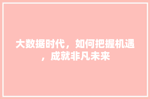 大数据时代，如何把握机遇，成就非凡未来  第1张