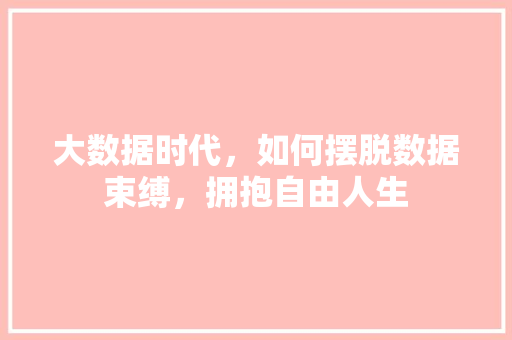 大数据时代，如何摆脱数据束缚，拥抱自由人生