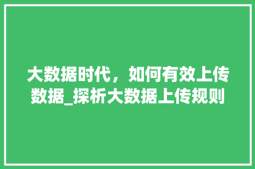 大数据时代，如何有效上传数据_探析大数据上传规则与步骤
