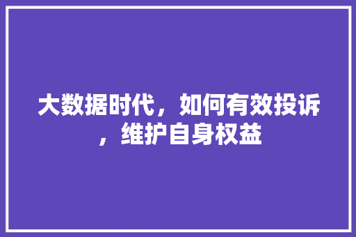大数据时代，如何有效投诉，维护自身权益