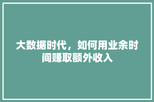 大数据时代，如何用业余时间赚取额外收入