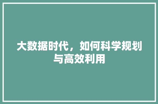 大数据时代，如何科学规划与高效利用  第1张