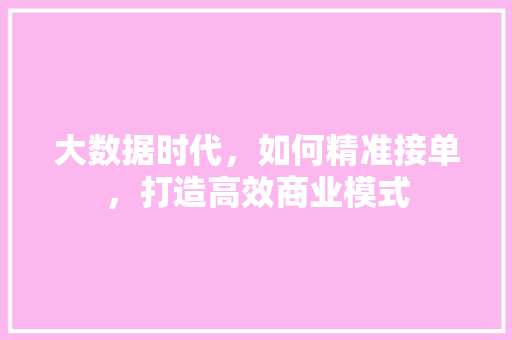 大数据时代，如何精准接单，打造高效商业模式