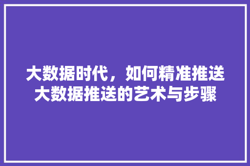 大数据时代，如何精准推送大数据推送的艺术与步骤  第1张