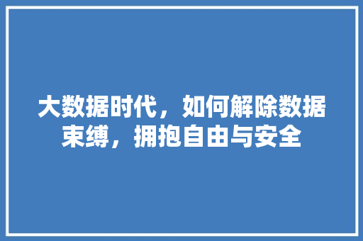 大数据时代，如何解除数据束缚，拥抱自由与安全