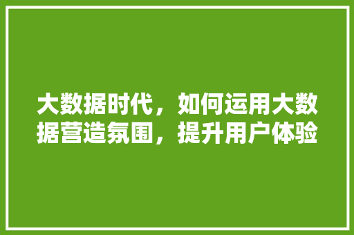 大数据时代，如何运用大数据营造氛围，提升用户体验