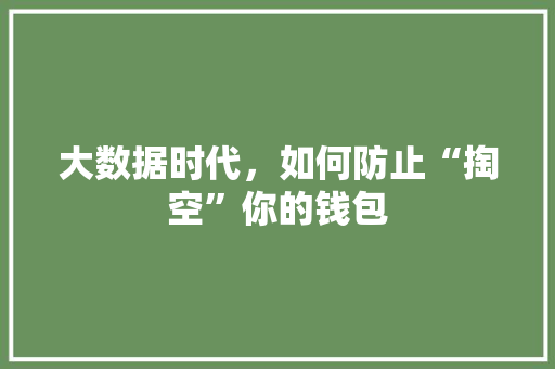 大数据时代，如何防止“掏空”你的钱包