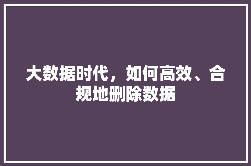 大数据时代，如何高效、合规地删除数据