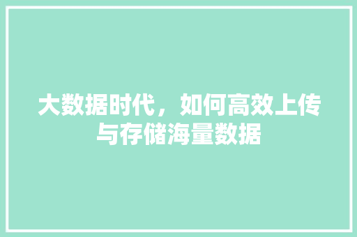 大数据时代，如何高效上传与存储海量数据