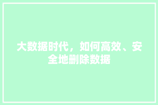 大数据时代，如何高效、安全地删除数据