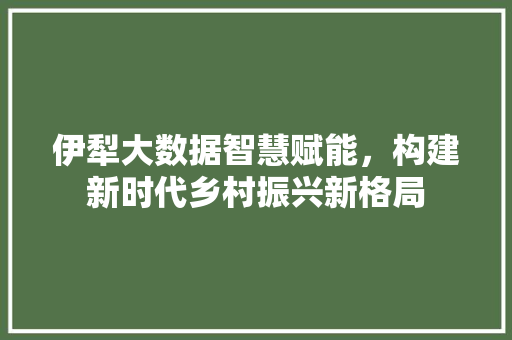 伊犁大数据智慧赋能，构建新时代乡村振兴新格局