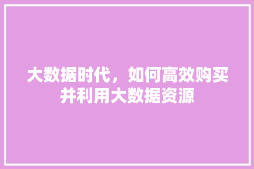 大数据时代，如何高效购买并利用大数据资源