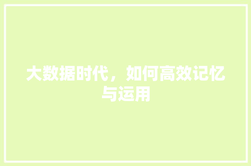 大数据时代，如何高效记忆与运用