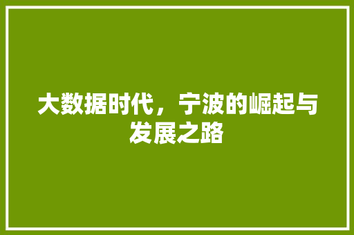 大数据时代，宁波的崛起与发展之路  第1张
