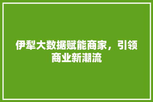 伊犁大数据赋能商家，引领商业新潮流