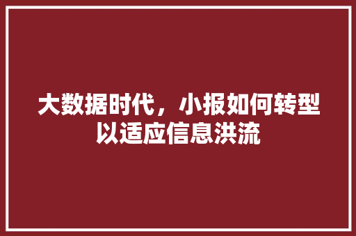 大数据时代，小报如何转型以适应信息洪流