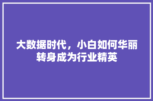 大数据时代，小白如何华丽转身成为行业精英