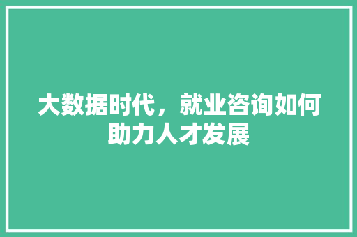 大数据时代，就业咨询如何助力人才发展