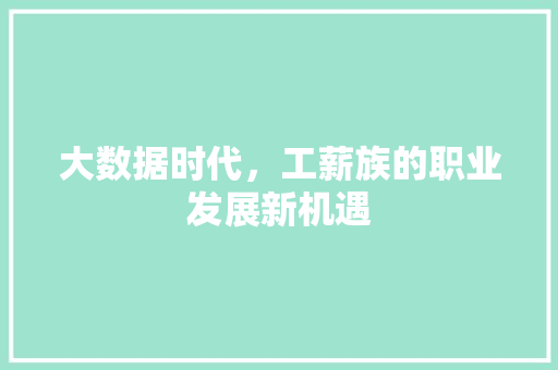 大数据时代，工薪族的职业发展新机遇