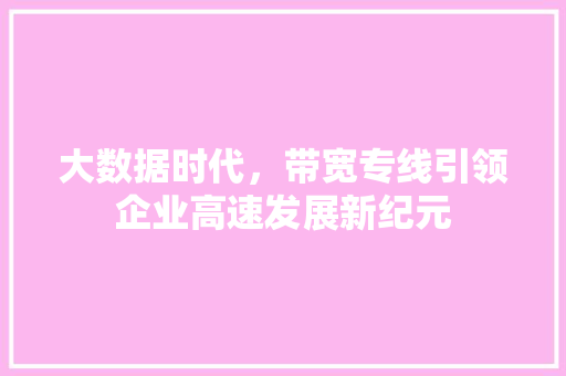 大数据时代，带宽专线引领企业高速发展新纪元