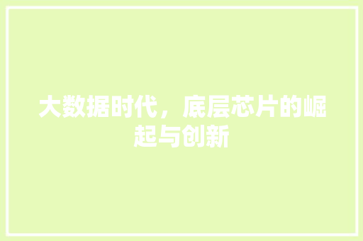 大数据时代，底层芯片的崛起与创新