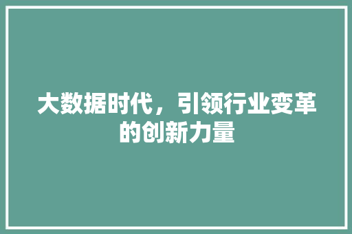 大数据时代，引领行业变革的创新力量  第1张