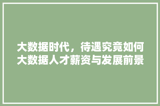 大数据时代，待遇究竟如何大数据人才薪资与发展前景  第1张
