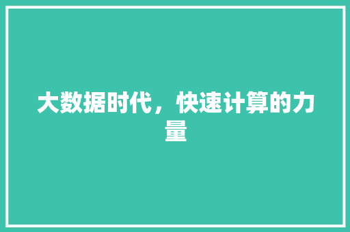 大数据时代，快速计算的力量