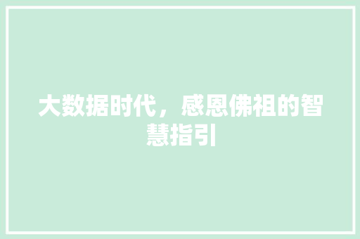 大数据时代，感恩佛祖的智慧指引