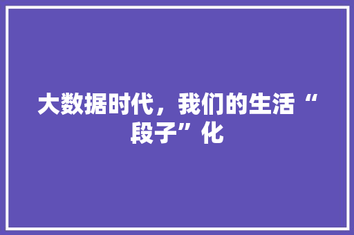 大数据时代，我们的生活“段子”化  第1张